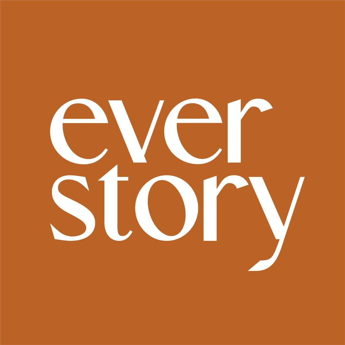 everstory.id - rect logo 1