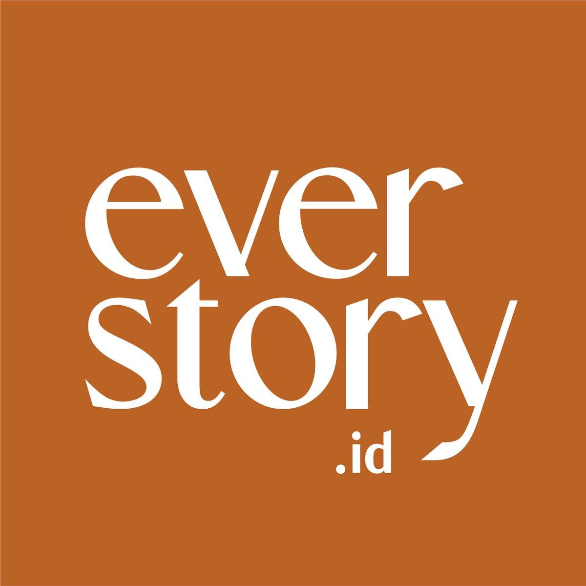 everstory.id - rect logo 2