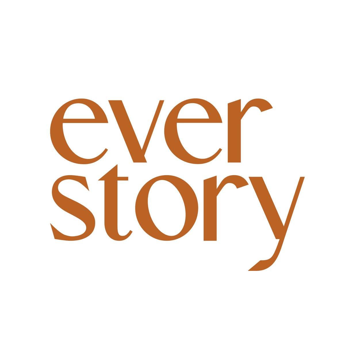 everstory.id - rect logo 4